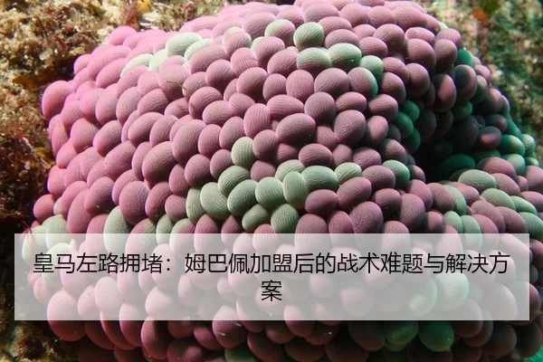 皇马左路拥堵：姆巴佩加盟后的战术难题与解决方案